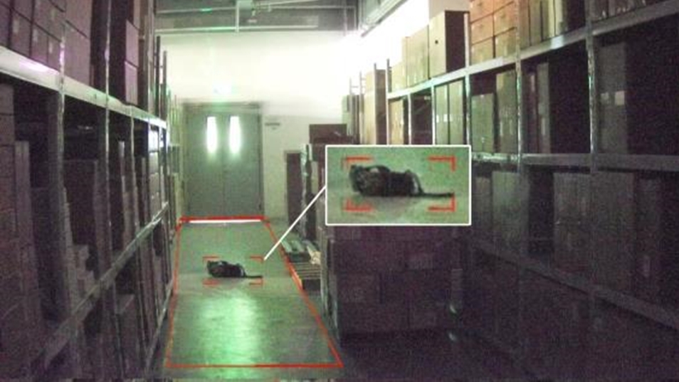 ks��ʱ��վ��(�й���)�ٷ���վ