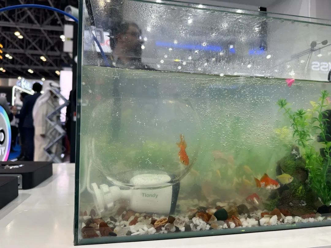 ks��ʱ��վ��(�й���)�ٷ���վ