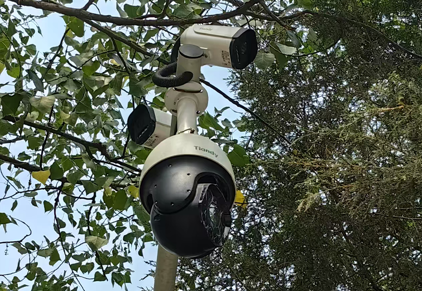 ks��ʱ��վ��(�й���)�ٷ���վ