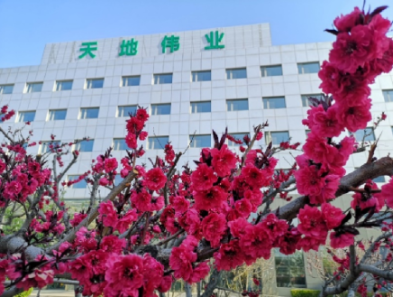 ks��ʱ��վ��(�й���)�ٷ���վ